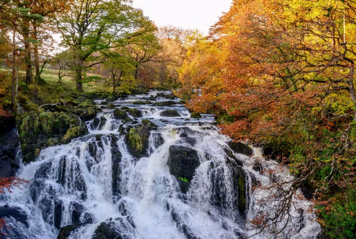 Swallow Falls