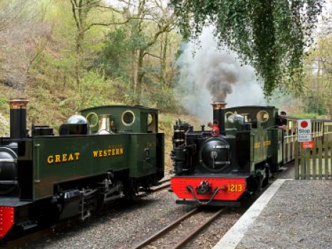 Vale of Rheidol Railway
