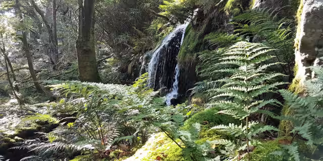 The hidden gems of Snowdonia