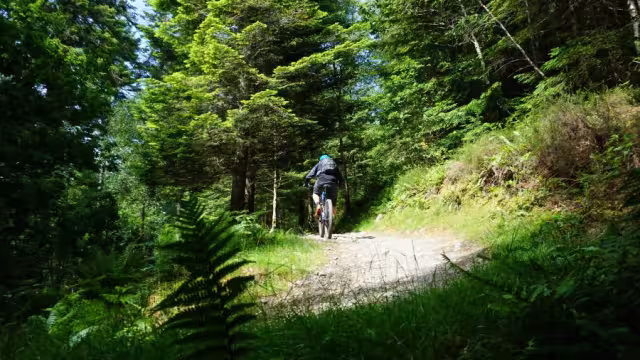 Mountain bike trails at Coed y Brenin