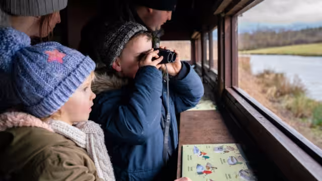 Family bird-watching in North Wales