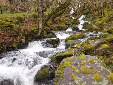 nr. Aber Falls, Snowdonia