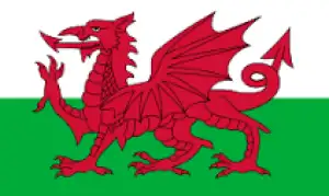The Welsh Dragon
