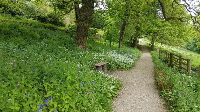 Country Lane Tours of North Wales