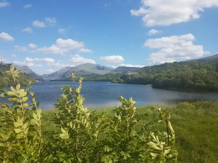 Mount Snowdon