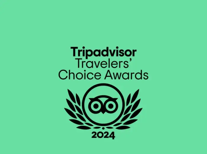 Celticos has received the Traveller's Choice 2024 award from TripAdvisor