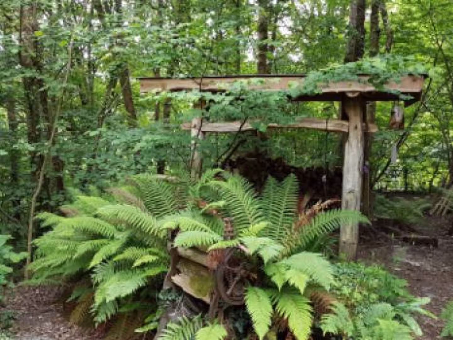Bodnant Gardens, Anglesey