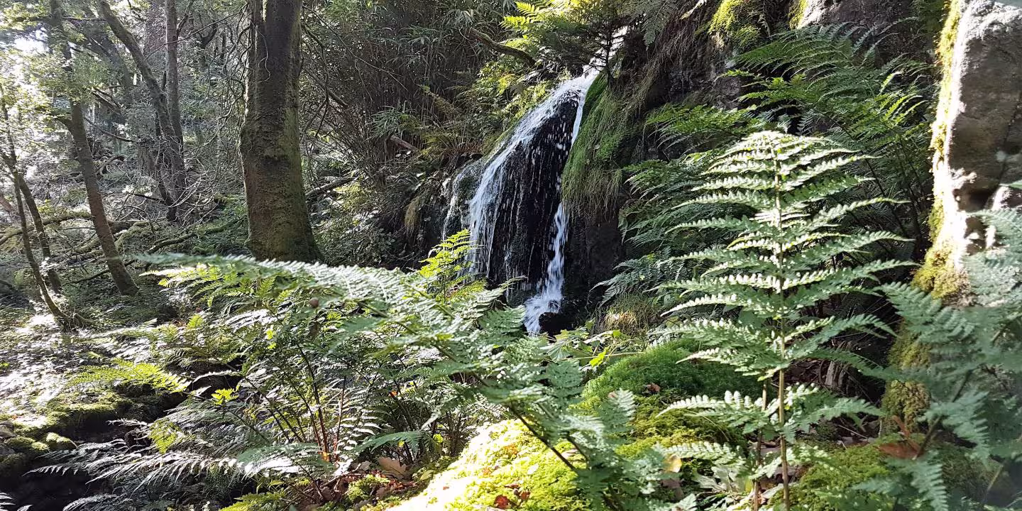 The hidden gems of Snowdonia