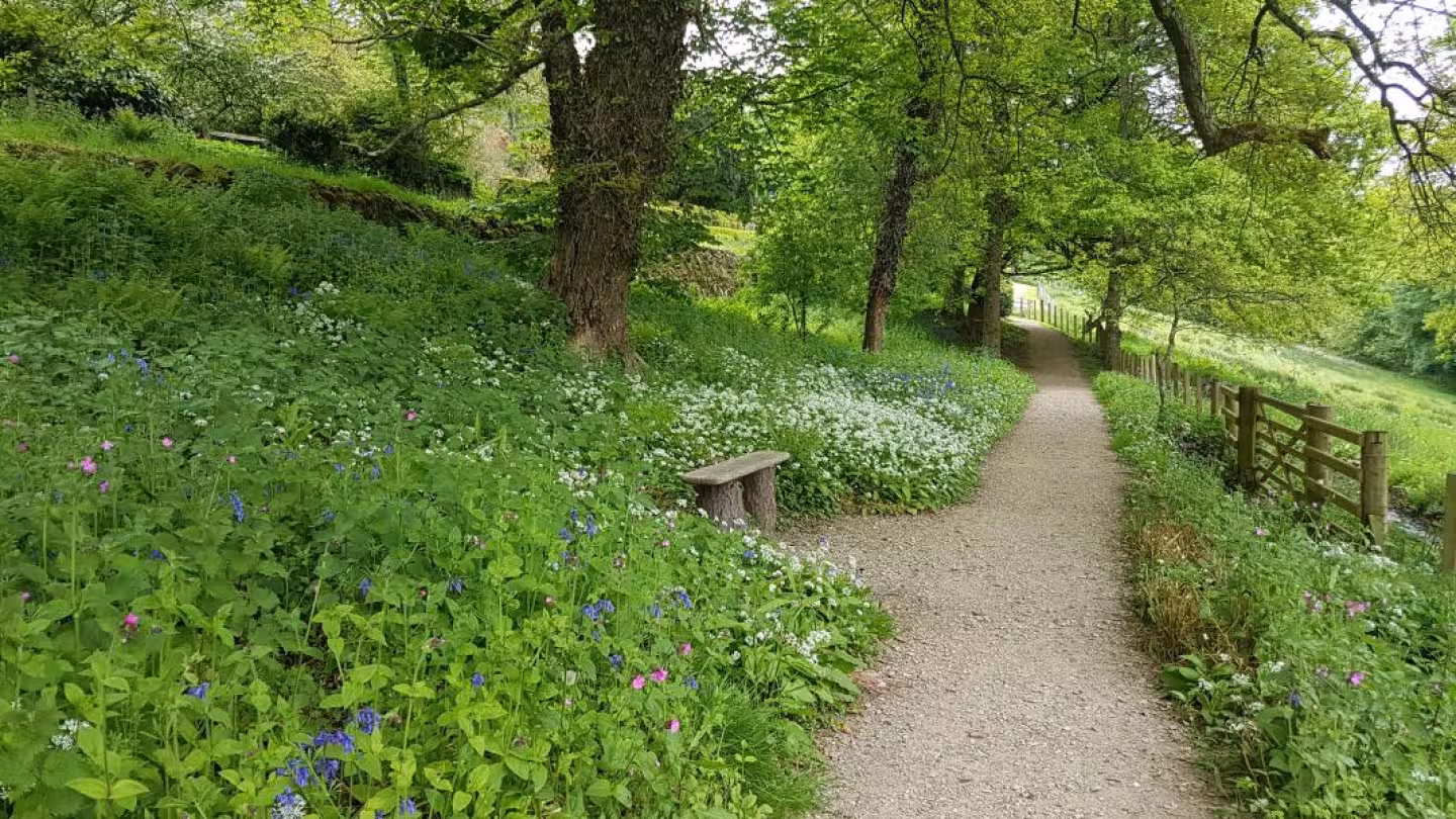 Country Lane Tours of North Wales