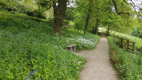 Country Lane Tours of North Wales
