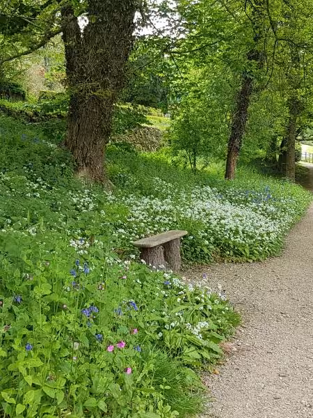 Country Lane Tours of North Wales