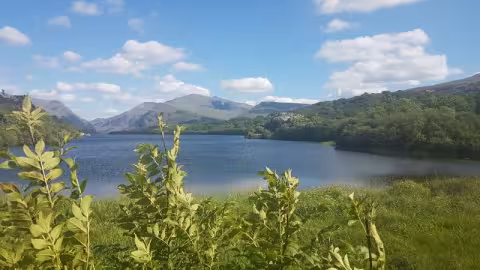 Mount Snowdon