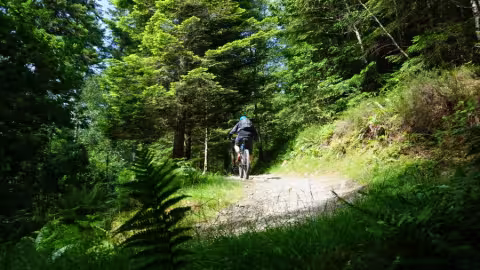 Mountain bike trails at Coed y Brenin