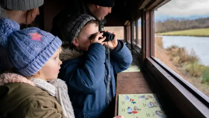 Family bird-watching in North Wales