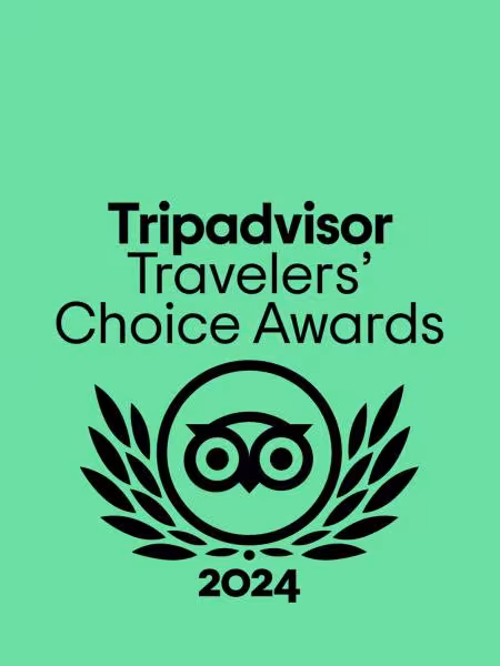 Celticos has received the Traveller's Choice 2024 award from TripAdvisor