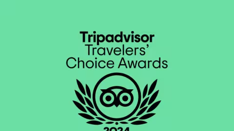 Celticos has received the Traveller's Choice 2024 award from TripAdvisor
