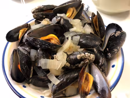 Conwy Mussels