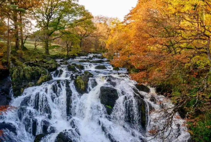 Photo of Swallow Falls