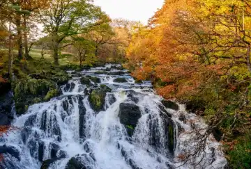 Swallow Falls