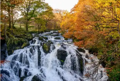 Photo of Swallow Falls