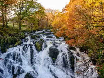 Swallow Falls